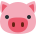 pig