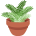 potted_plant
